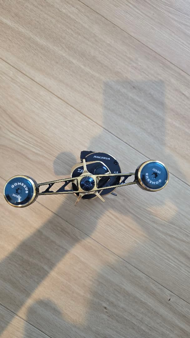 ダイワ Daiwa SALTIGA IC 100PL-DH