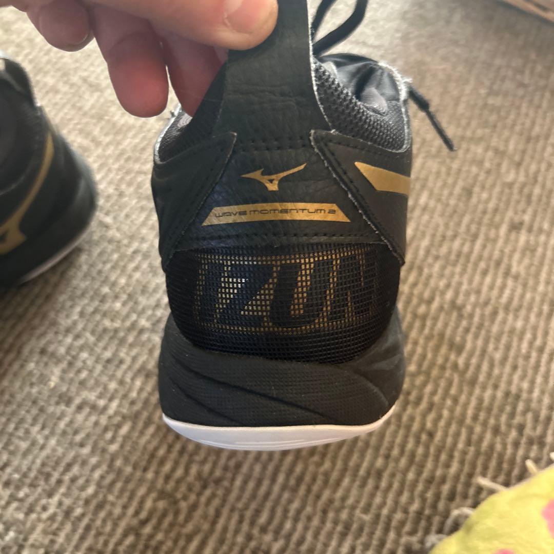 ミズノ 25,5 センチ　バレーボール ウェーブモーメンタム 2