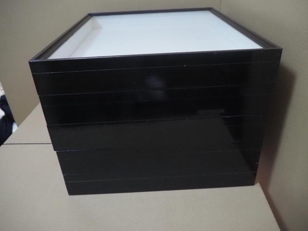 標本箱　ドイツ箱　大型 5個セット(中古、藤本標本用品製)