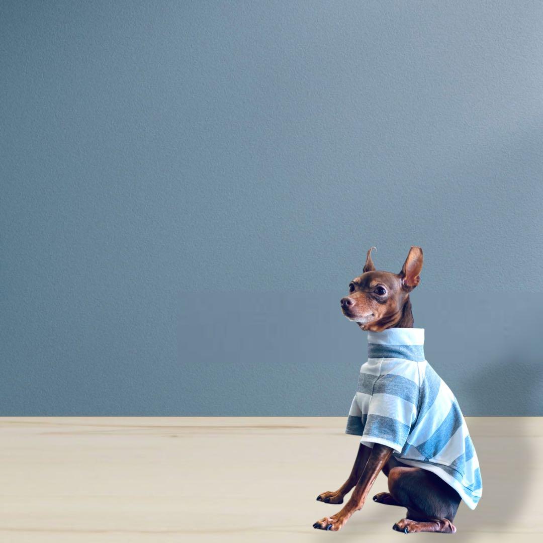 ⑱ボーダーショートスリーブ