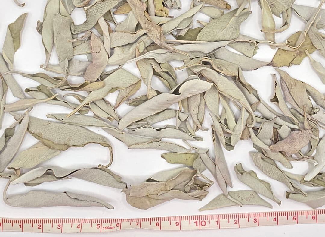 業務用価額☆無農薬アウトレットリーフホワイトセージ1KG箱入りお香浄化