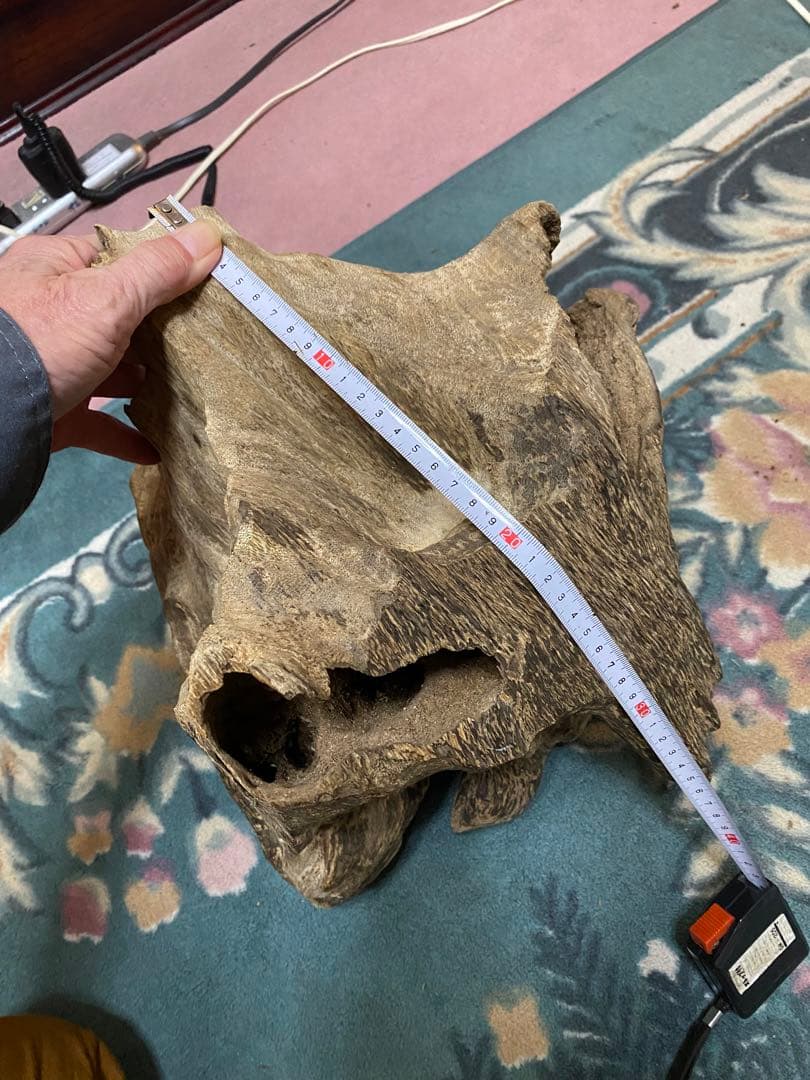 ベトナム産天然香木　希少大型良香沈香約2.9キロg