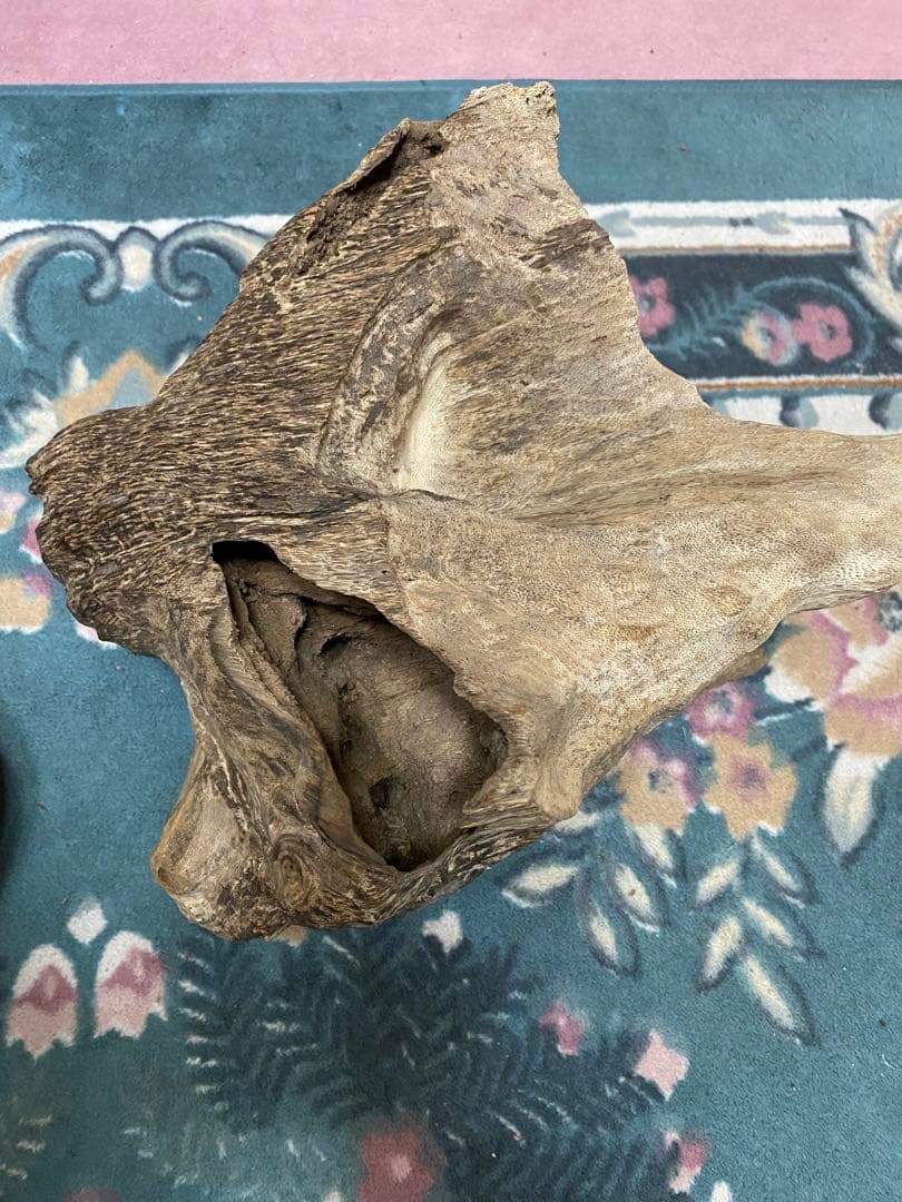 ベトナム産天然香木　希少大型良香沈香約2.9キロg