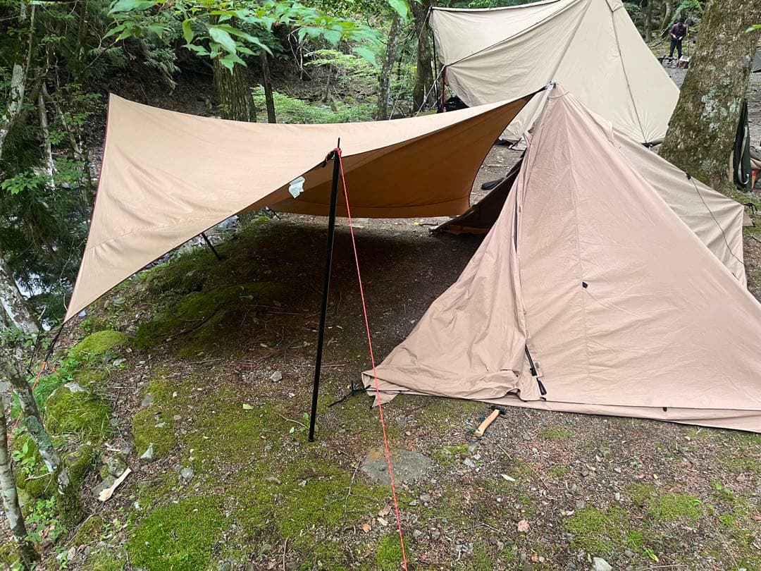 お得！パンダtcプラス　パンダtcタープ　シルス170tcセット