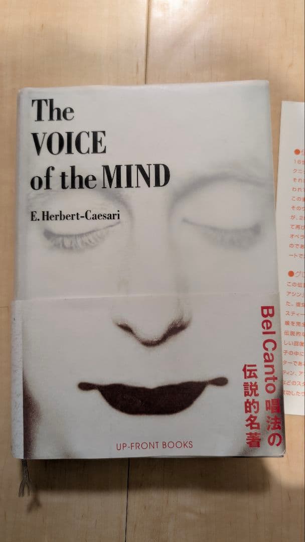 ザヴォイスオブザマインド　チェザリー　the voice of the mind