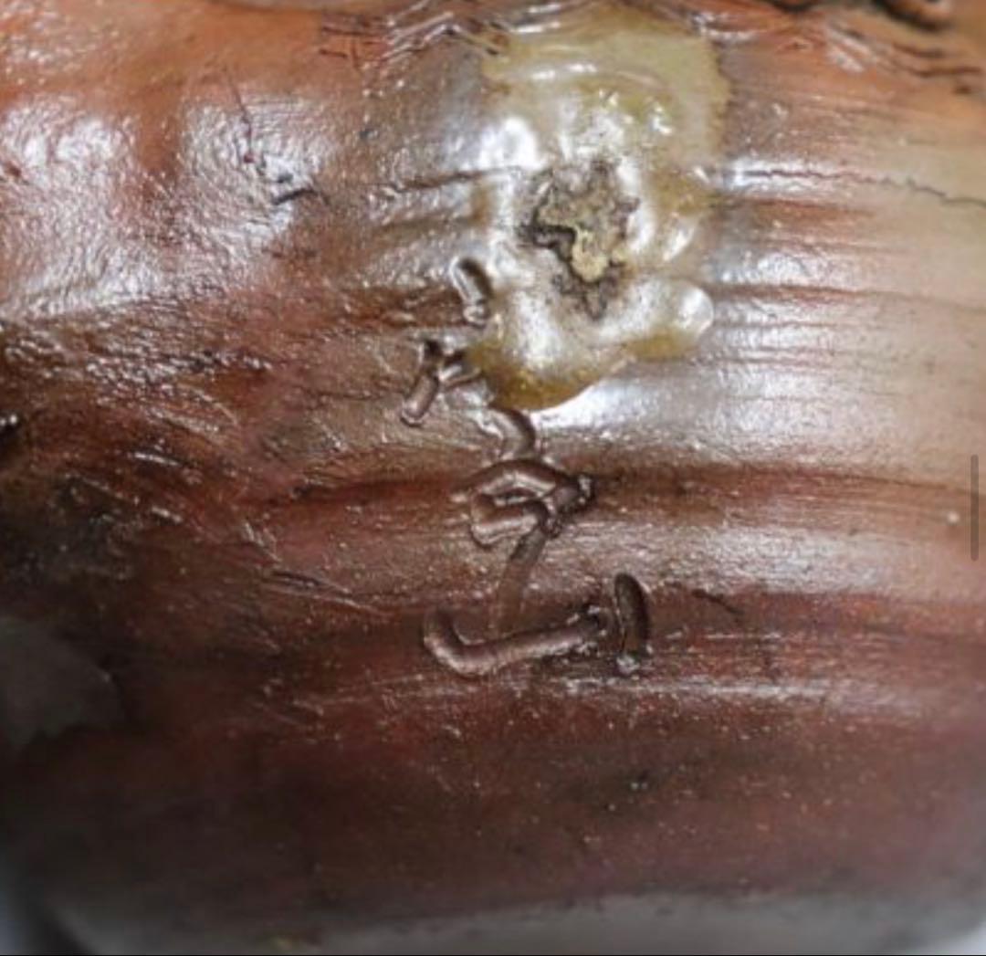 カセ赤秞備前焼名工岡安宮山人作備前陶器亀摘手造宝瓶長寿母子亀