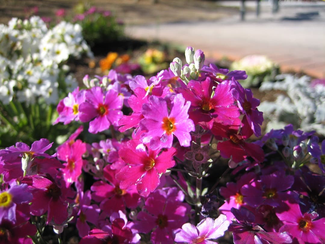 追加あり⭕️【動作確認済】canon IXY Digital 60 PC1158