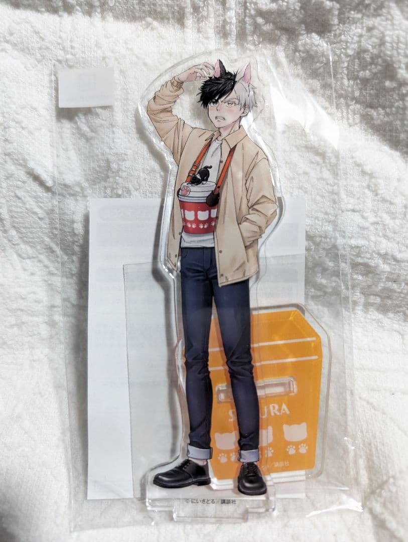 WIND BREAKER ナンジャタウン 桜遥