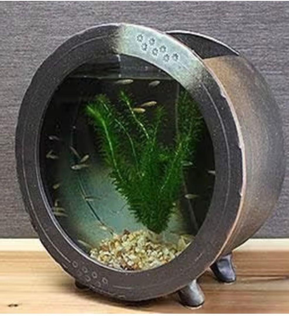 メダカ鉢 円形 黒色　陶器　金魚鉢