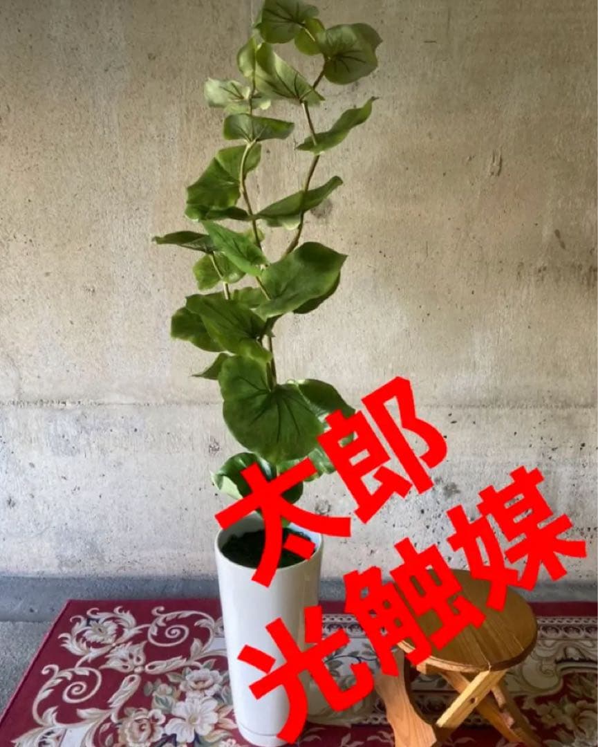 光触媒　人工観葉植物　ウォールグ リーン　フェイクグリーン　シーグレープ100