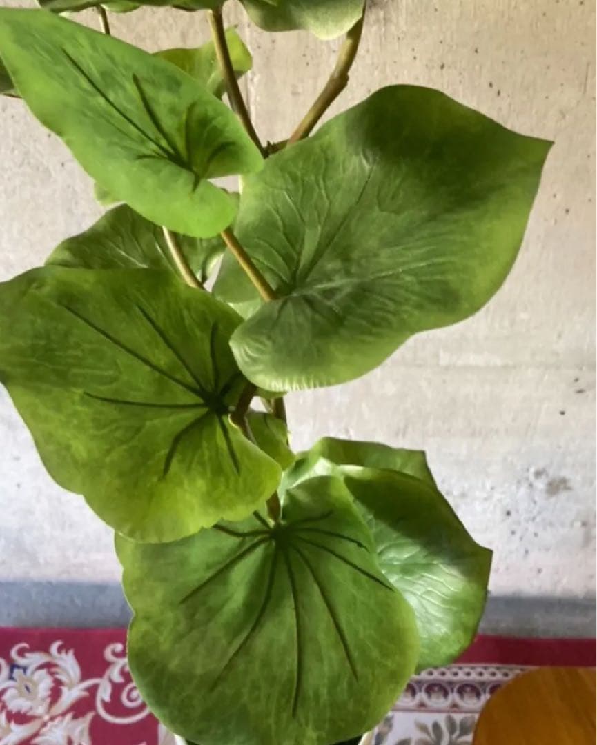 光触媒　人工観葉植物　ウォールグ リーン　フェイクグリーン　シーグレープ100