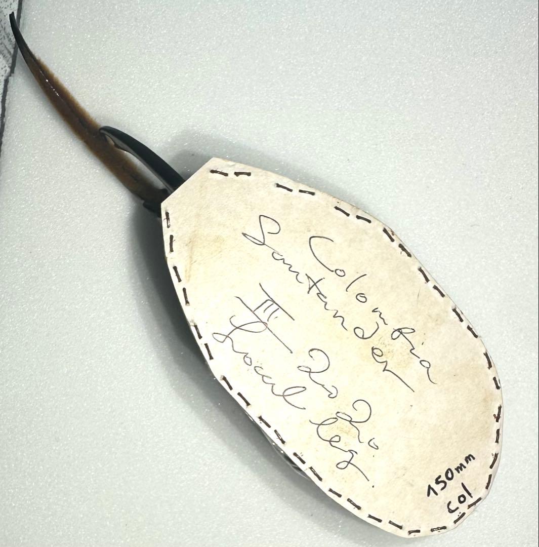 【標本】 ヘラクレスリッキー 本物の野外品150㎜