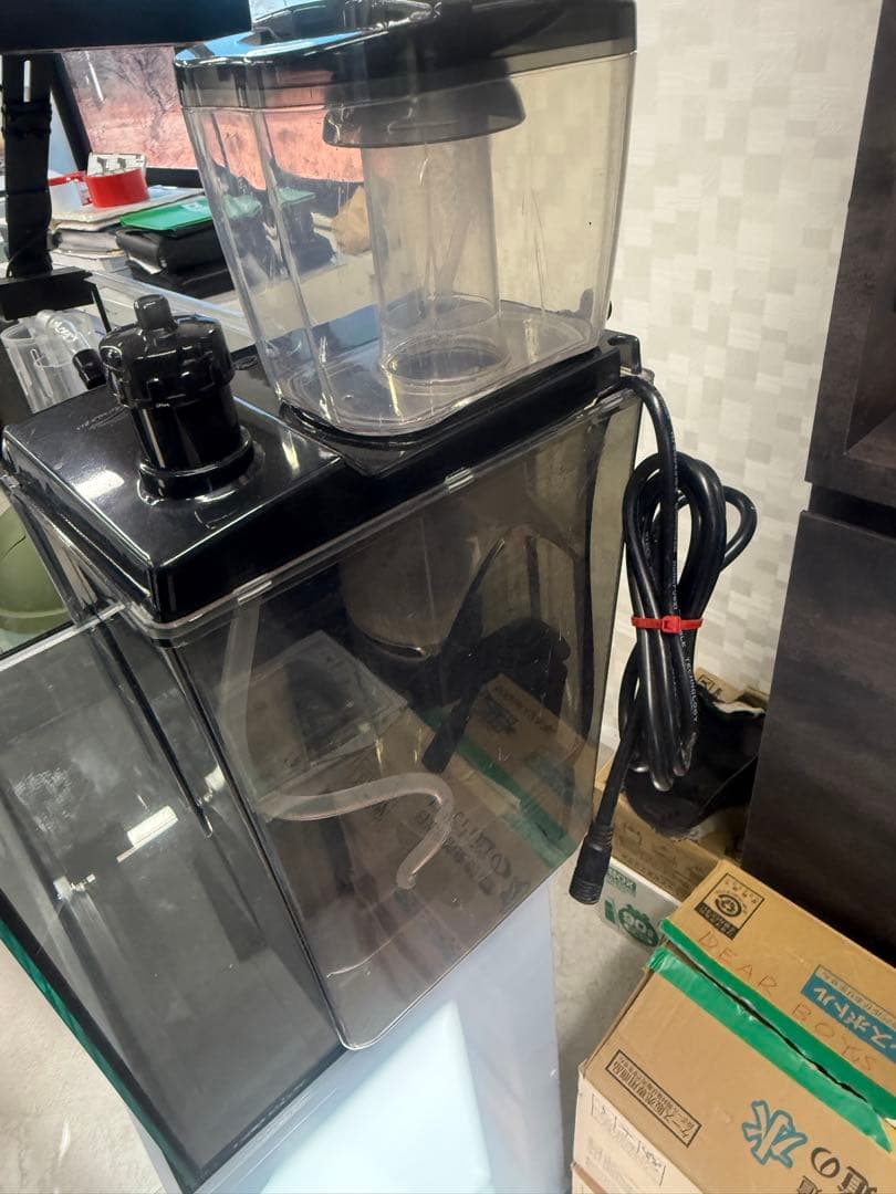 オーバーフロー水槽　ガラス水槽　60cm 海水魚