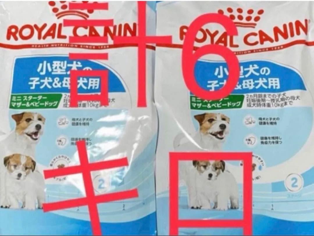 ロイヤルカナン　ミニスターターマザー&ベビードッグ 3kg 2袋　計6キロ