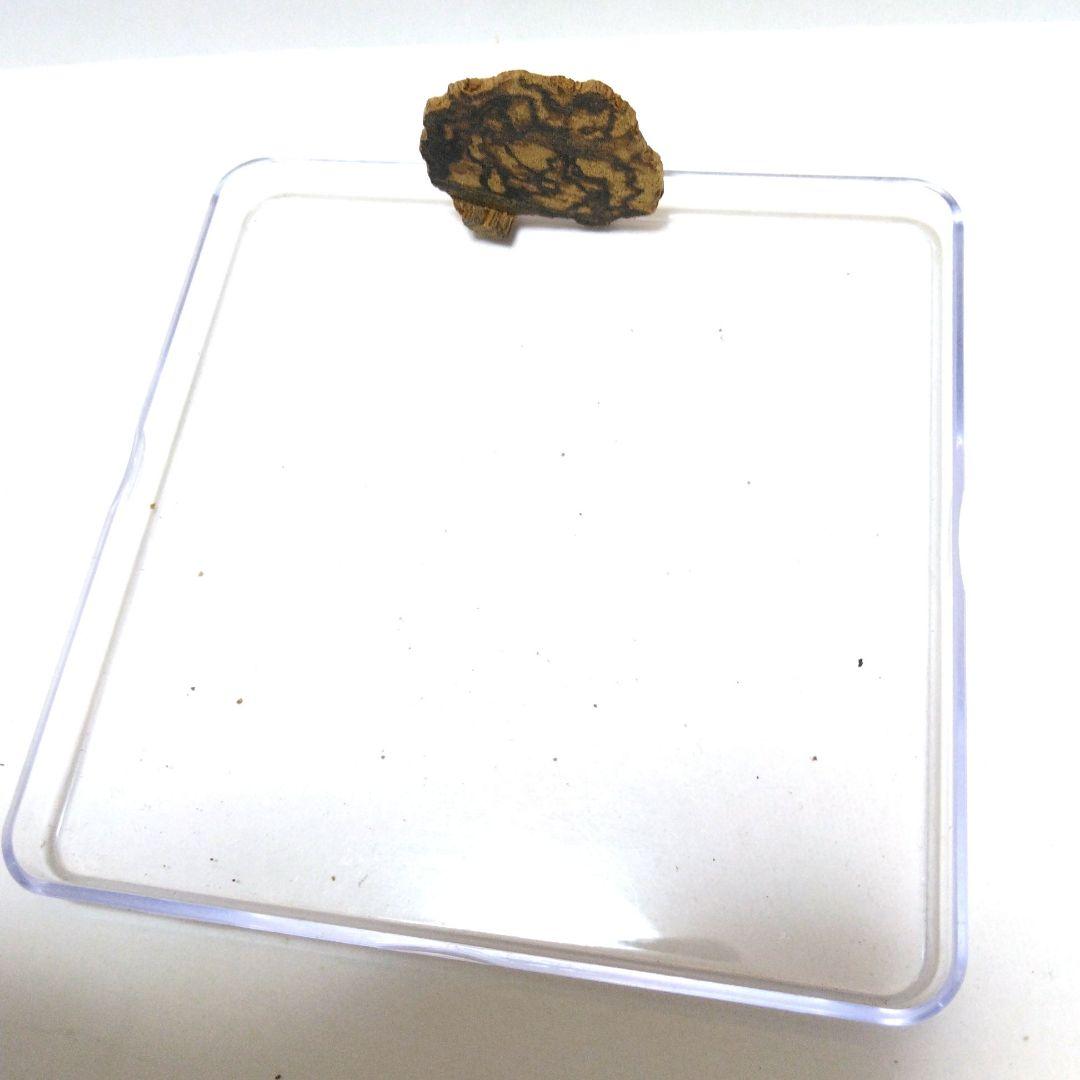 紅土沈香 最高級B　1.52g