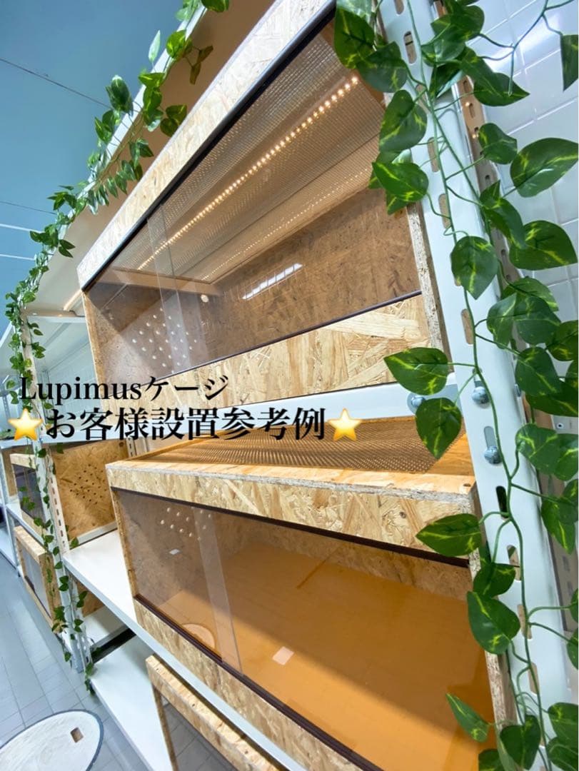 爬虫類ケージ　爬虫類飼育ゲージ　90×45×45 天井金網仕様