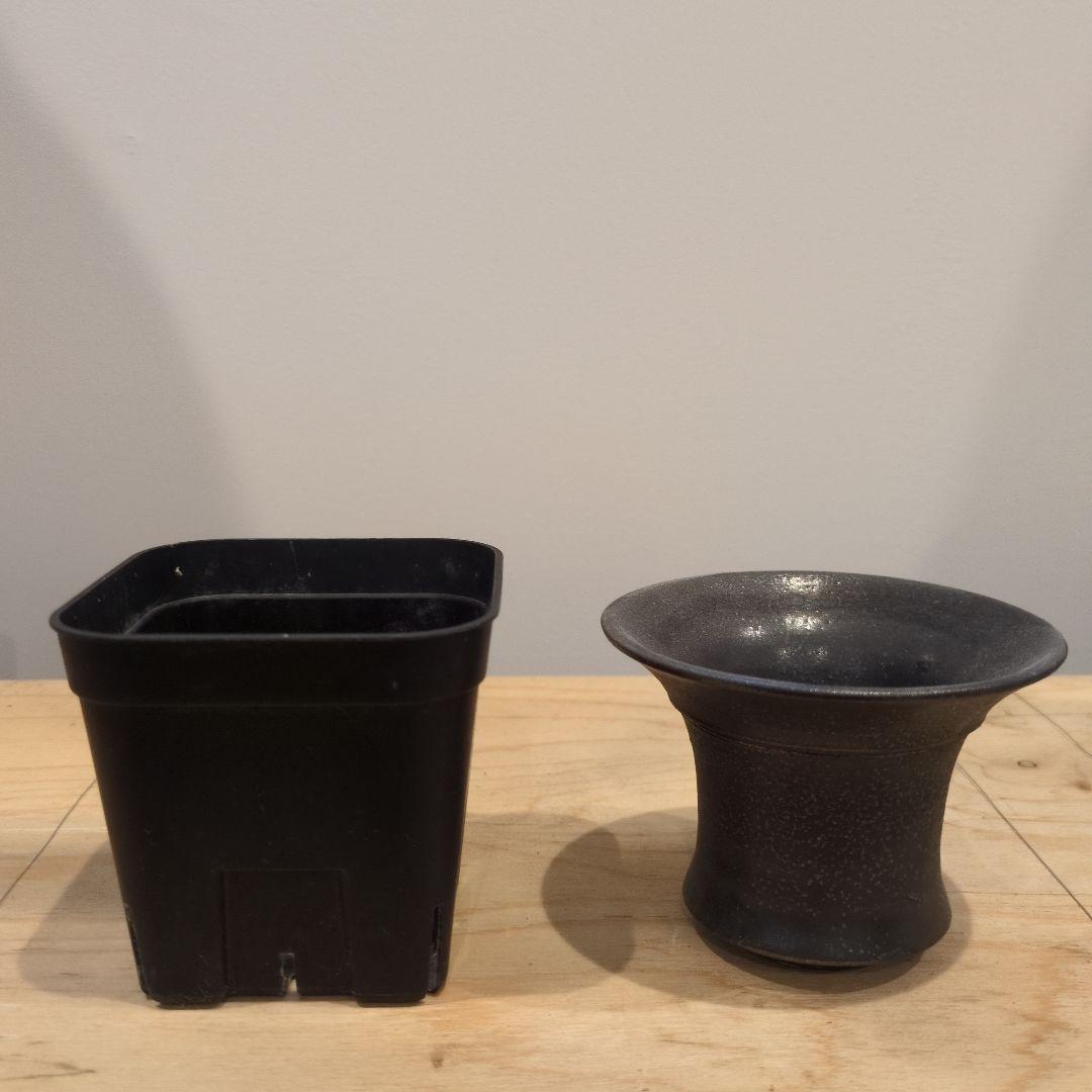 作家鉢まとめ売り