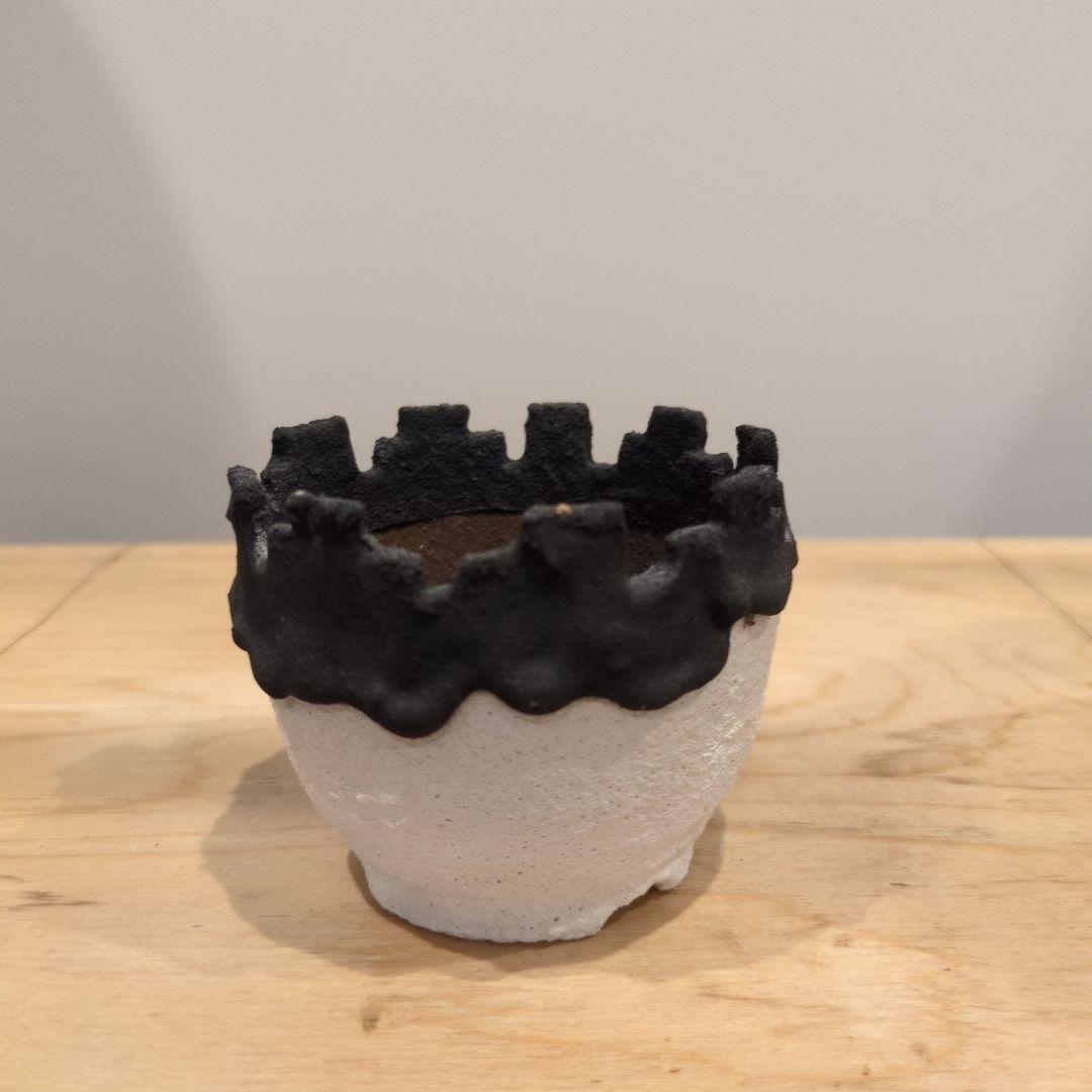 作家鉢まとめ売り