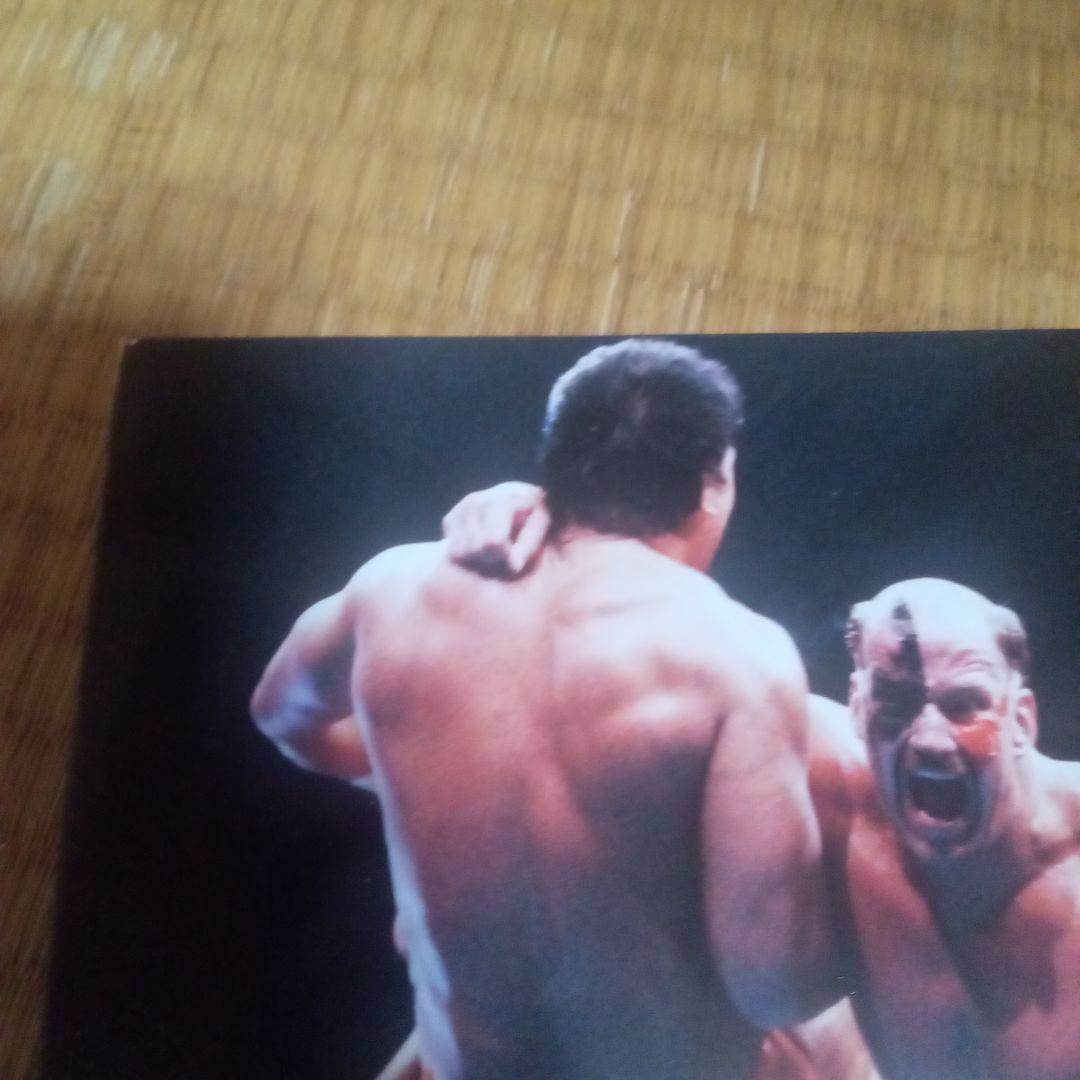 プロレス　ホークウォリアー　直筆サインパネル