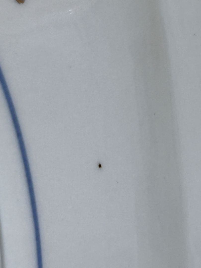 九谷焼　山本重義作　色絵 小紋 金蘭手　飾り皿　大皿