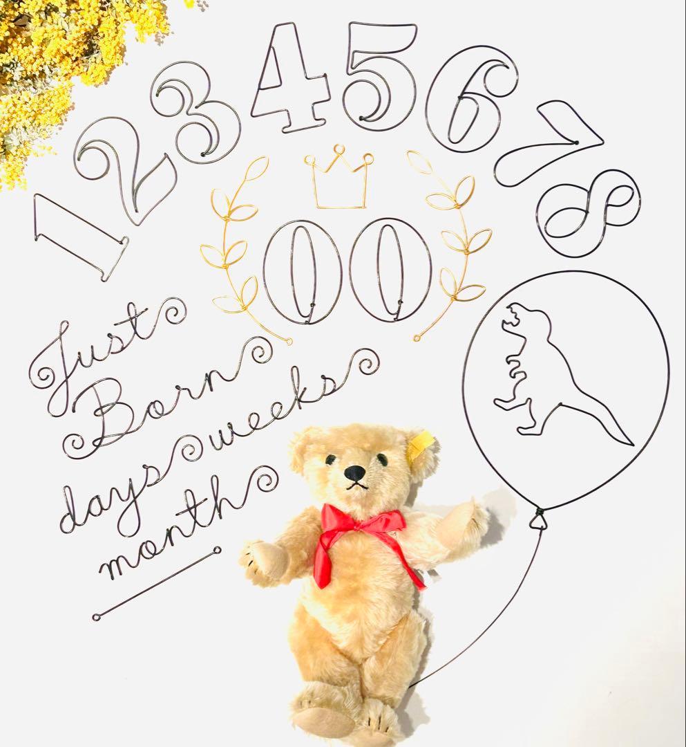 m.m　ワイヤーアート　JUST BORN days weeks 恐竜