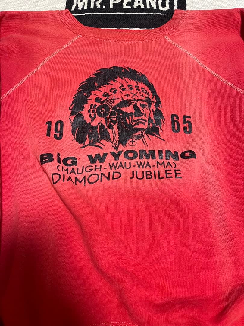 イ*コ様 60sスウェット　ラグラン　インディアンヘッド　ラバープリント　フェー