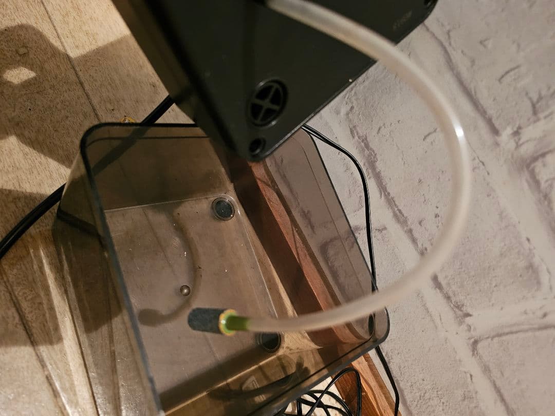 GEX エキゾテラ　モンスーンソロ