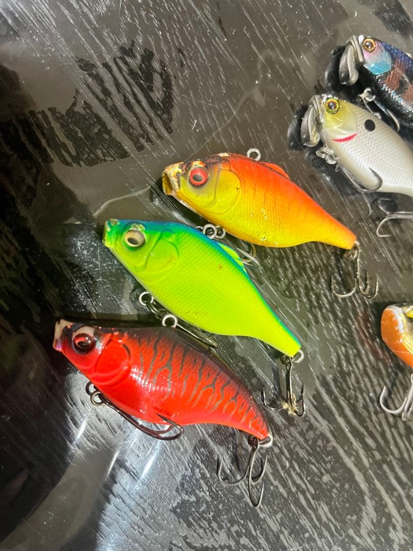 レベルバイブ、TN60、トリゴン、スマトラセット