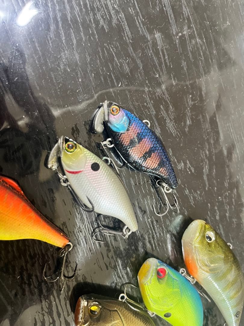 レベルバイブ、TN60、トリゴン、スマトラセット