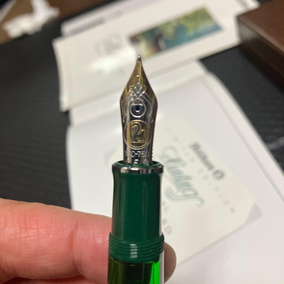 Pelikan Hunting ペリカン ハンティング 18C F 付属品完備