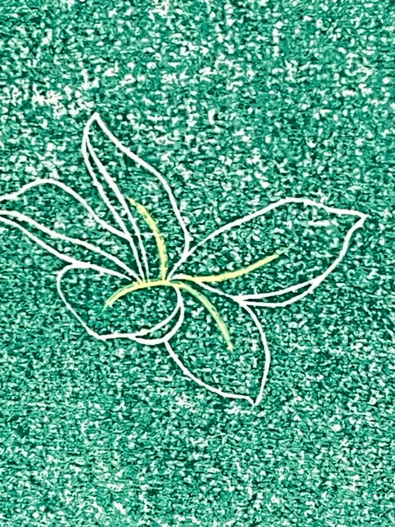 『#Tipanie』 #ティパニエ #プルメリア