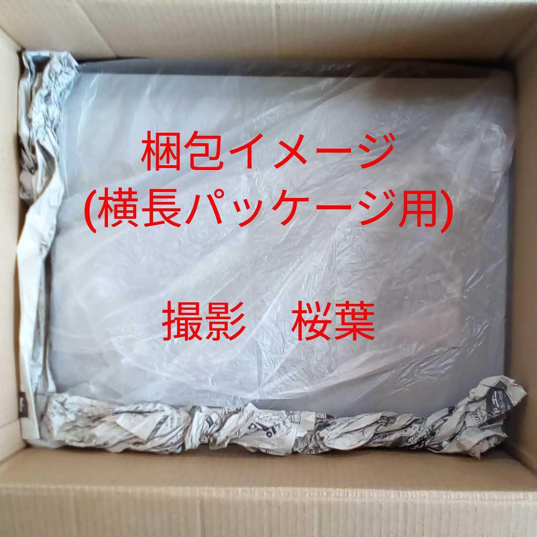 ガンダム逆襲のシャア ガンプラ mg Hi νガンダム Ver Ka. 未組立