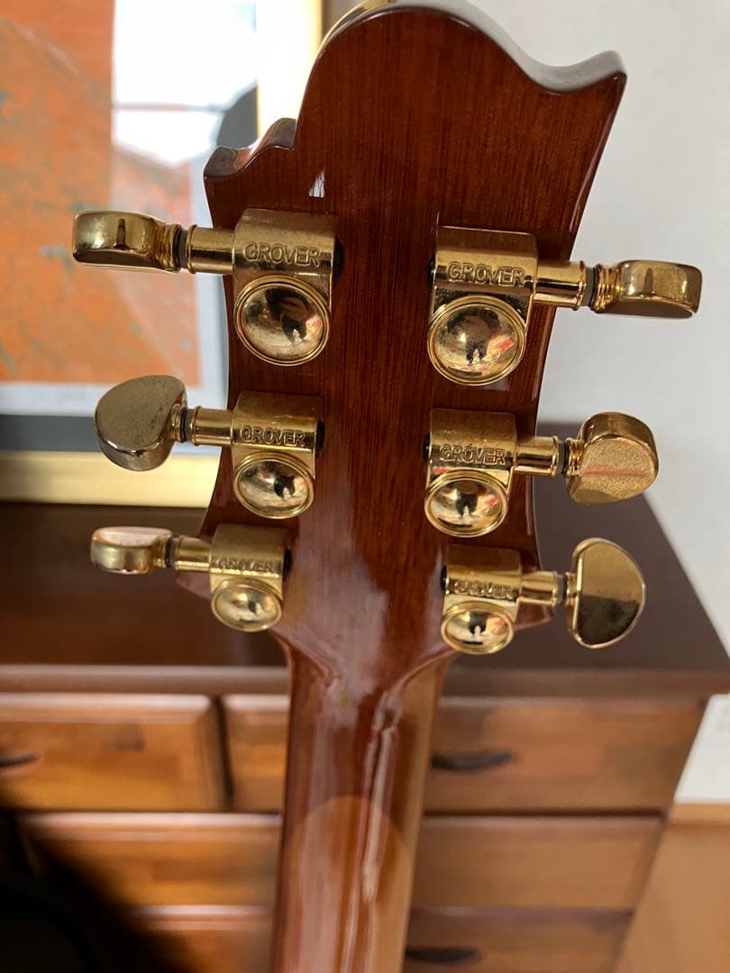 Greg Bennett グレッグ・ベネット　D-8