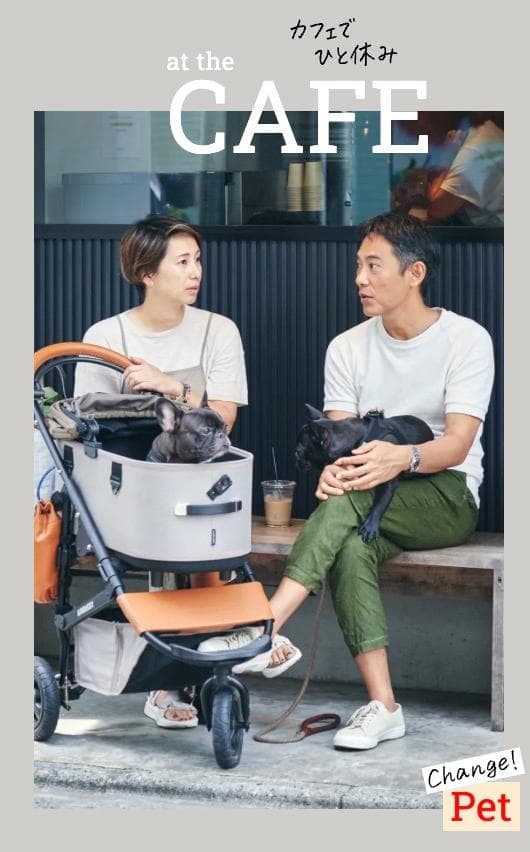 AIRBUGGY DOME3 PREMIER EDITION ディムグレー