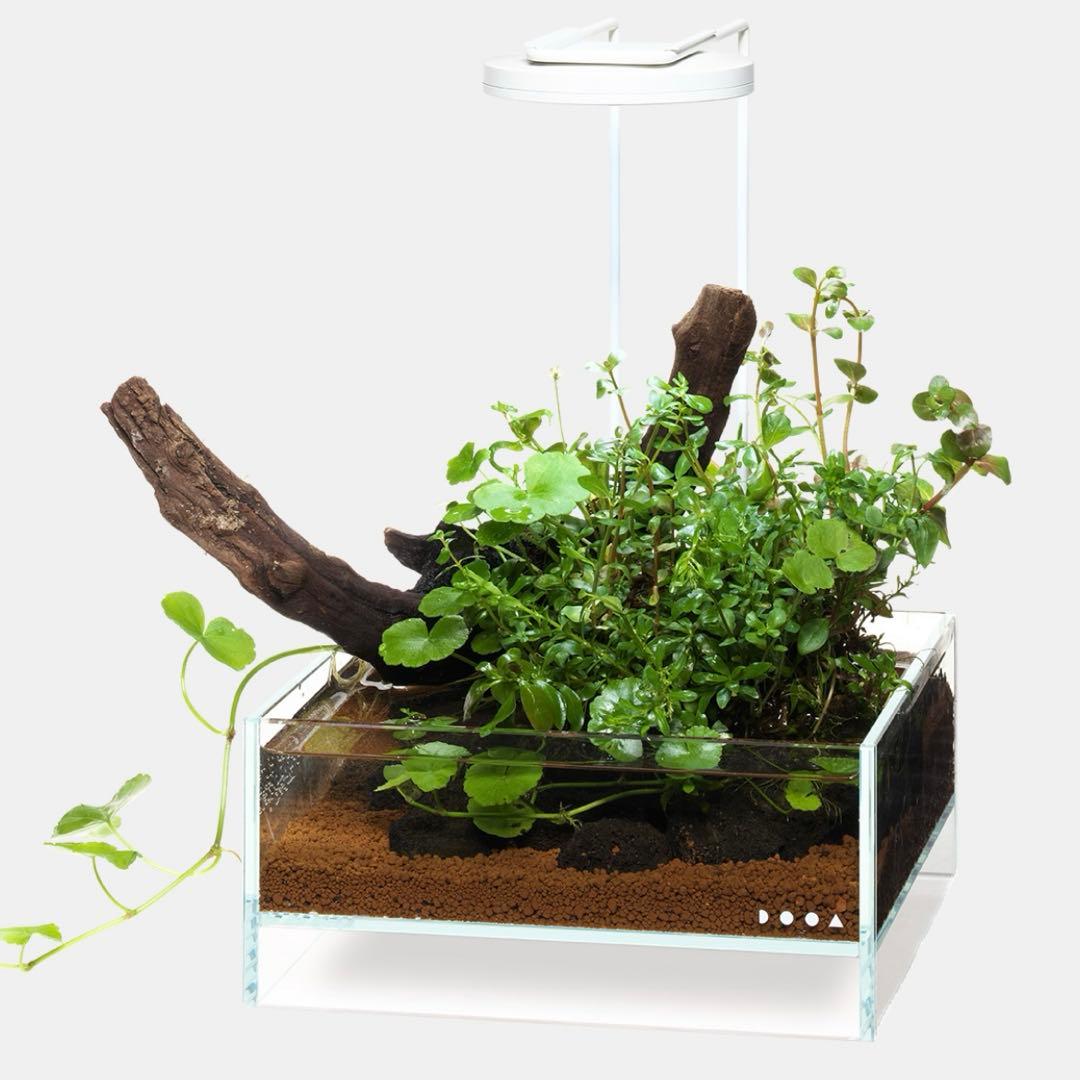 DOOA ネオグラスエア ライトアーム ライト セット