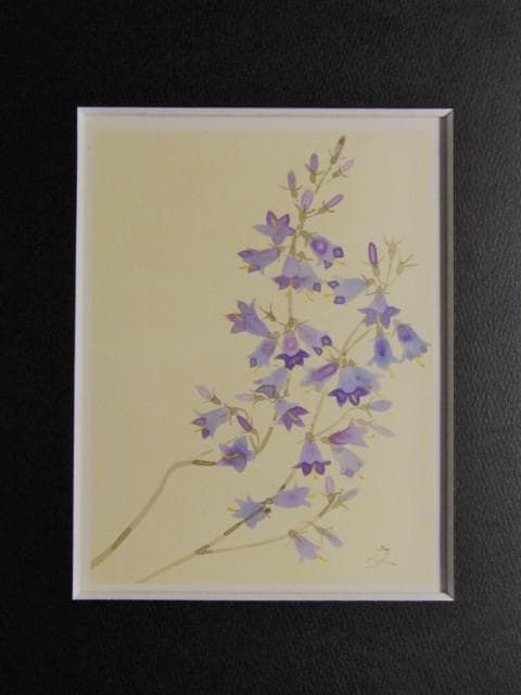 堀文子、【つりがねにんじん】、希少な画集画、新品高級額・額装付、状態美麗