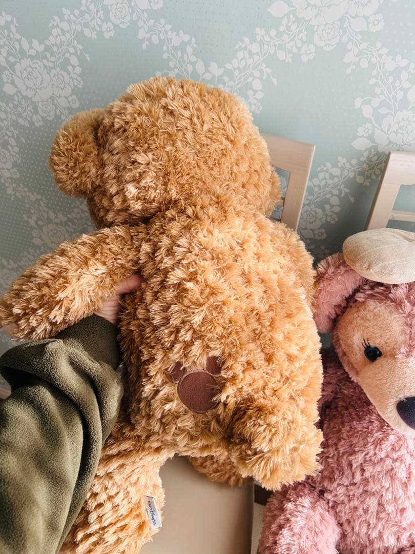 ダッフィ　シェリー　Disney Sea