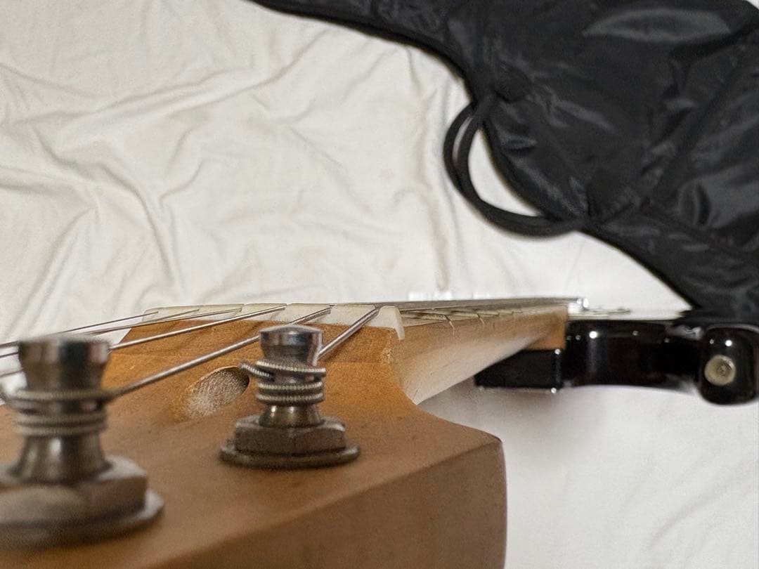 Photogenic エレキギター　ソフトケース付き　良品　1913-01-2