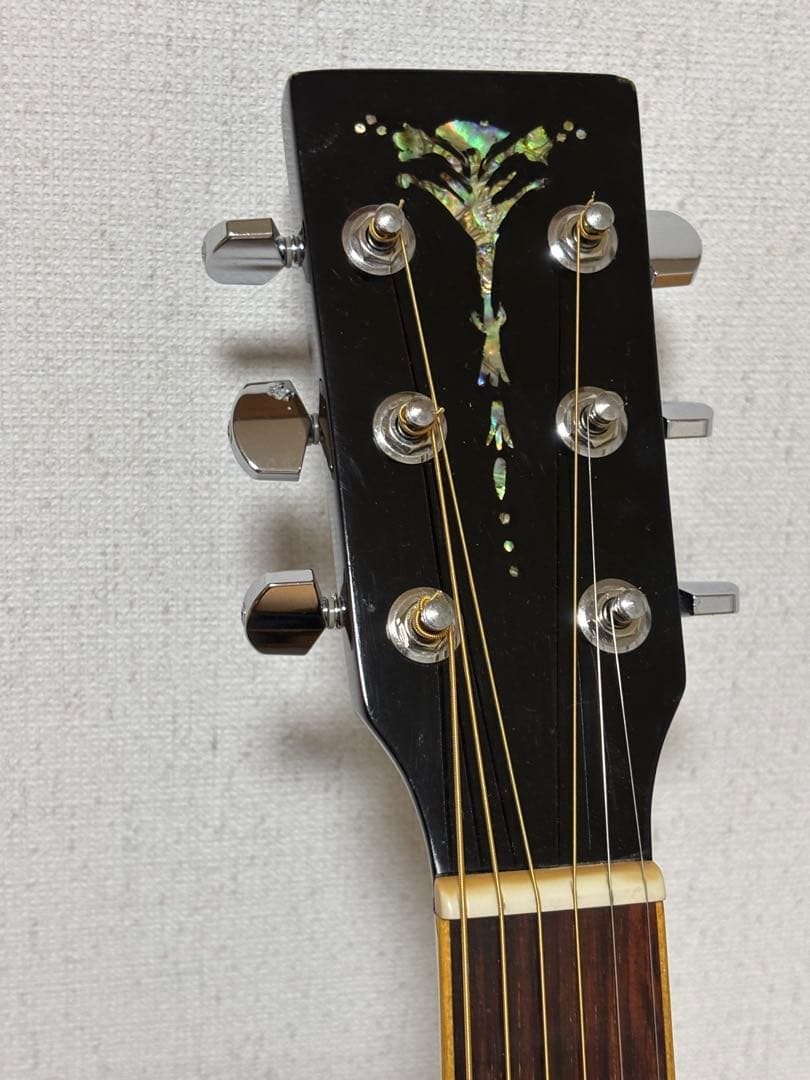 専用‼️‼️訳アリ❗️ARIA ADL−01 BK パーラータイプ　調整済‼️