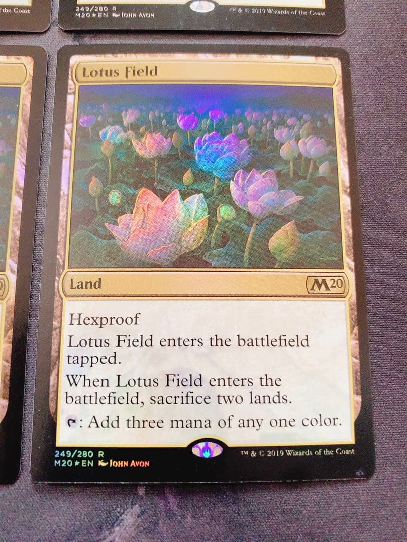 【foil】睡蓮の原野　英語　4枚セット