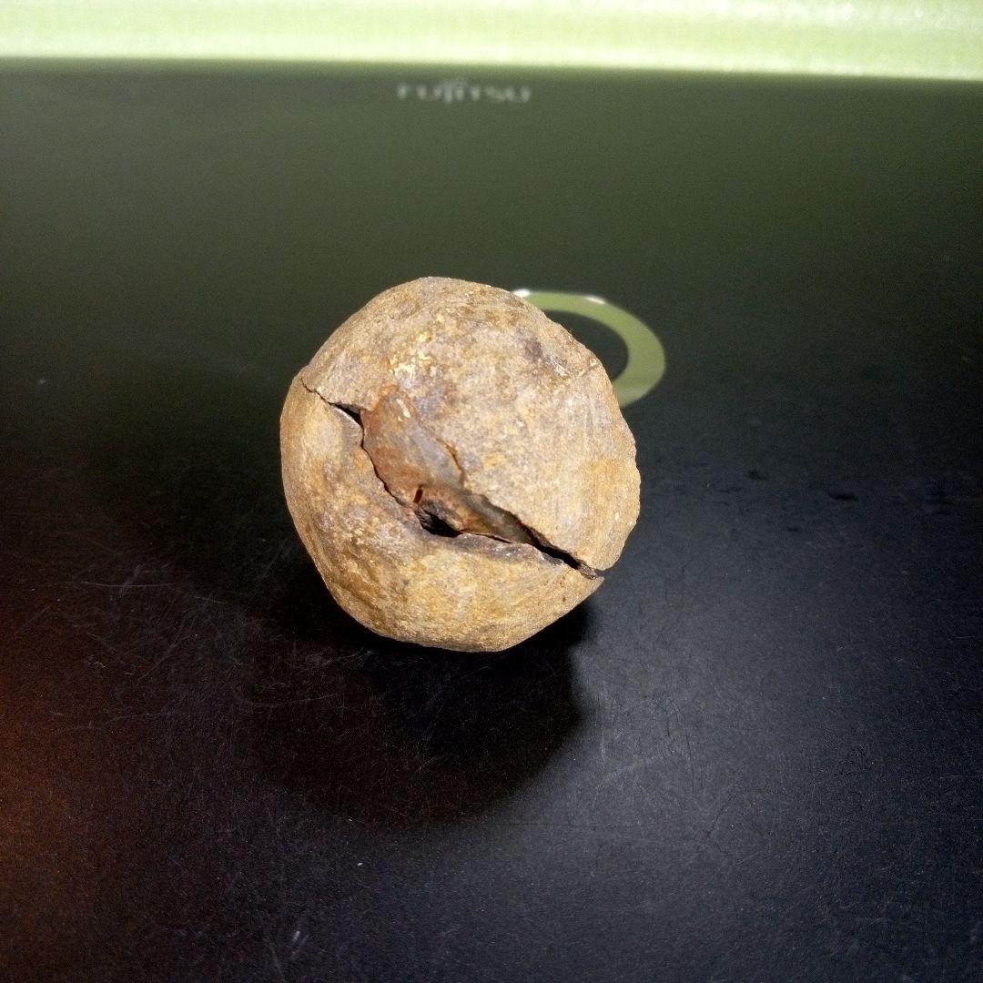 三葉虫　化石　fossil　海　ボリビア産　trilobite　ボリビア化石郡②