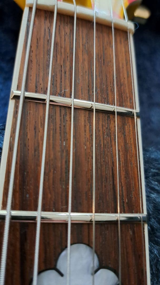 pinkspider　フェルナンデス MG-145S ハードケース