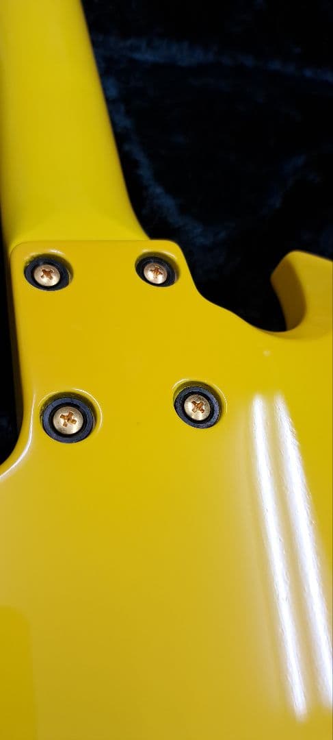 pinkspider　フェルナンデス MG-145S ハードケース