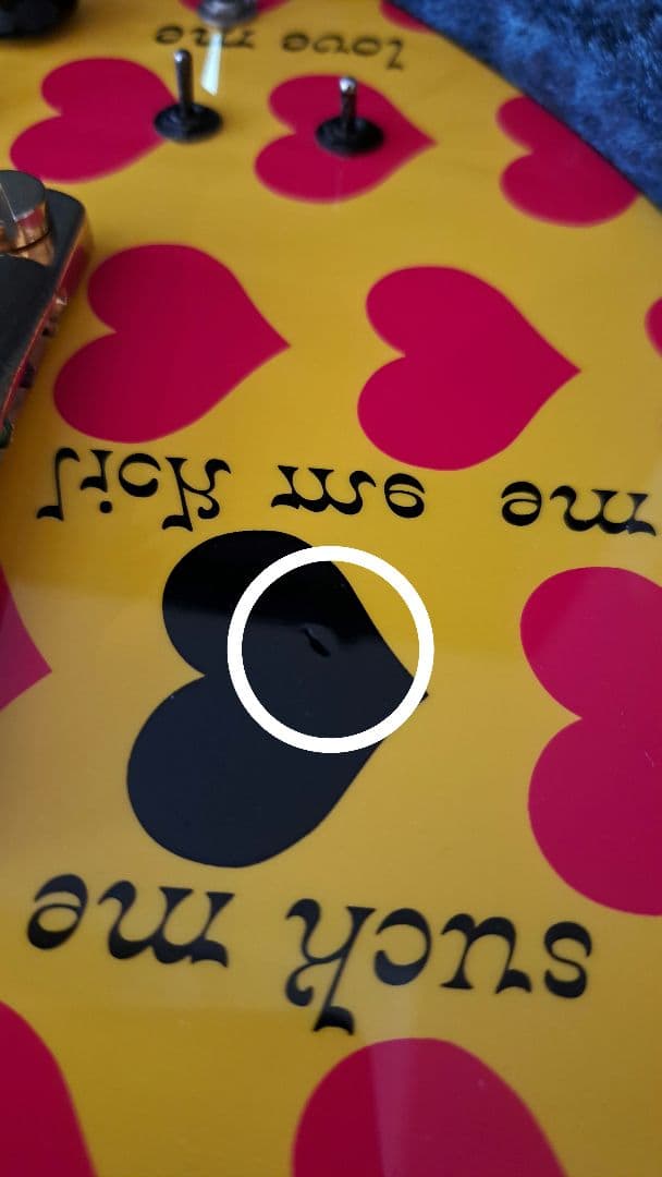 pinkspider　フェルナンデス MG-145S ハードケース