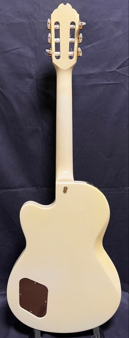 Gibson ギブソン　チェットアトキンス　CE / AW