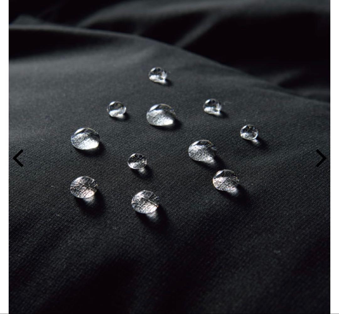 ワークマン エックスシェルター プレミアム ギガパフダウンコート 3L グリーン