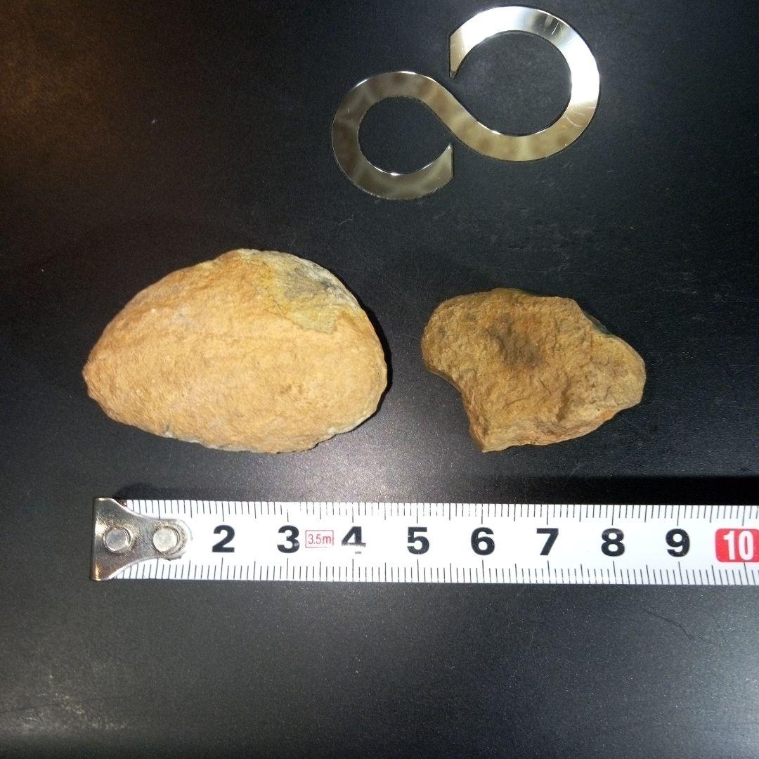 三葉虫　化石　fossil　ボリビア産　レア　Fossil判別⑩　２個セット