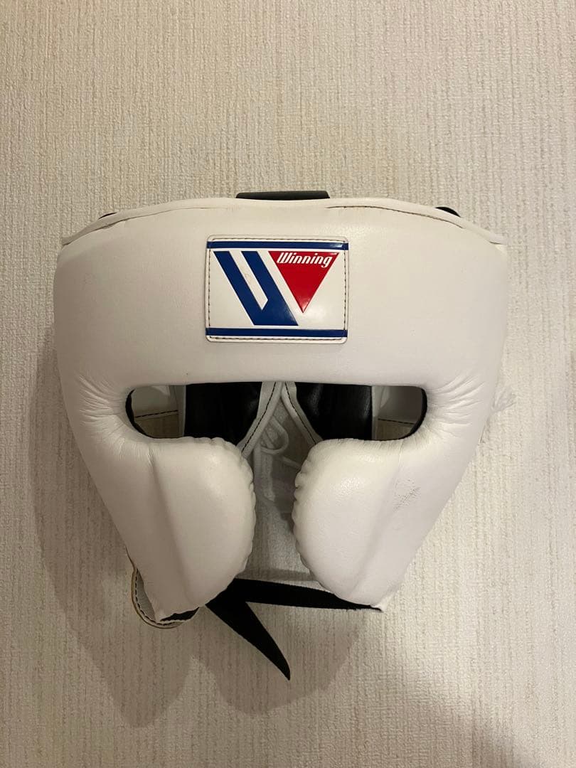 Winning ヘッドギア フルフェイスタイプ ホワイトM FG-2900