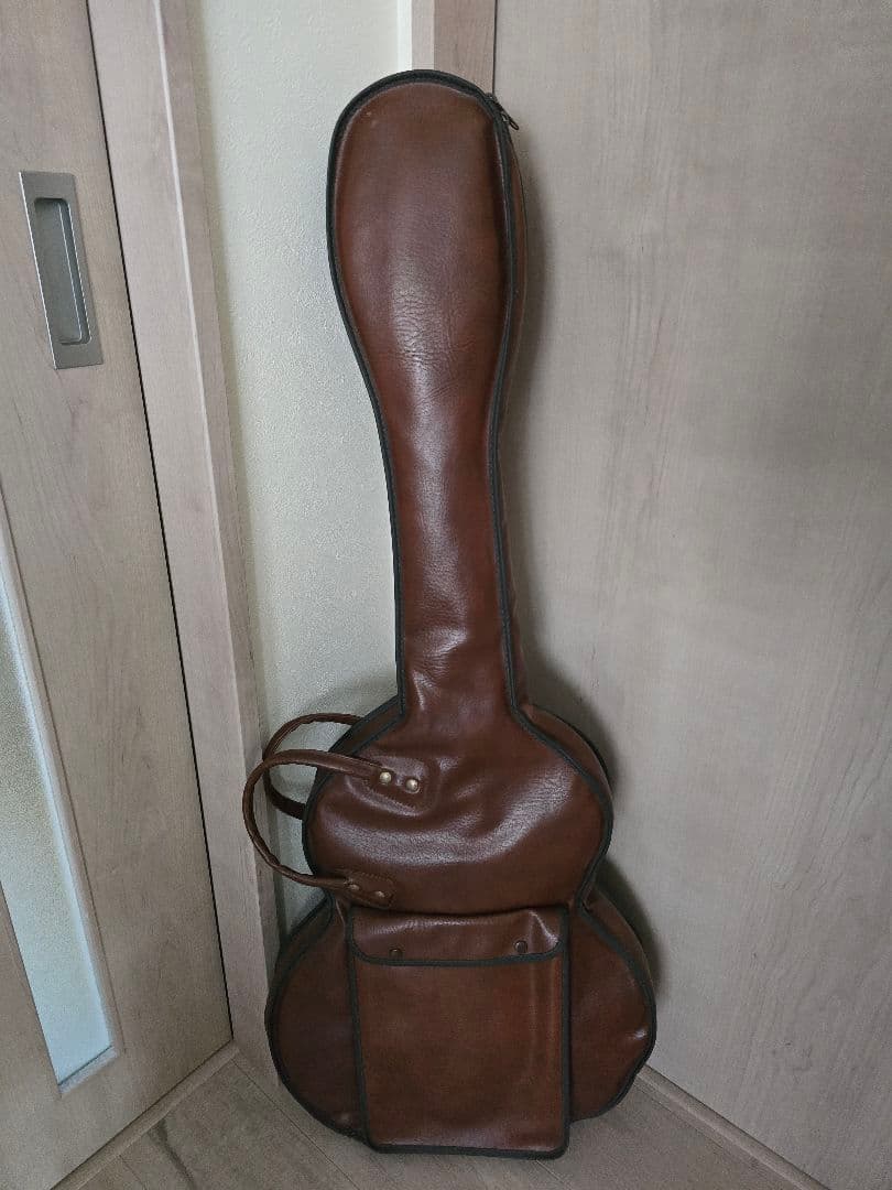 アリアプロII　ギター　中古品