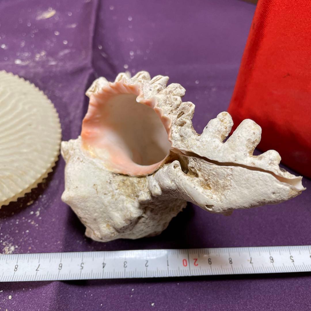 大型　オブジェ